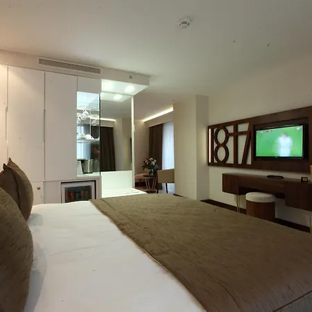 酒店 伊斯坦布尔胜利酒店及水疗中心 4*