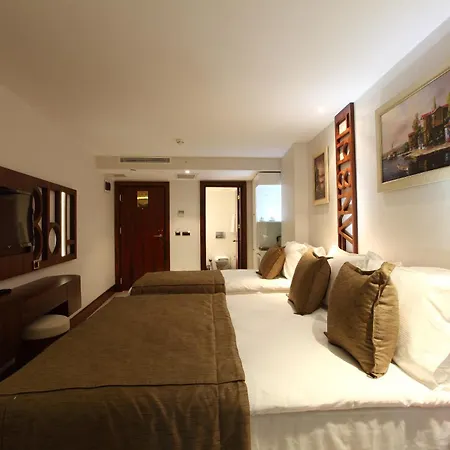 伊斯坦布尔胜利酒店及水疗中心 4*