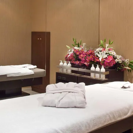 伊斯坦布尔胜利酒店及水疗中心 伊斯坦布尔