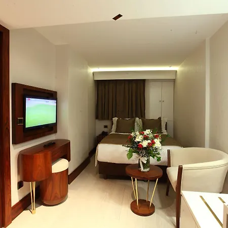 酒店 伊斯坦布尔胜利酒店及水疗中心 伊斯坦布尔