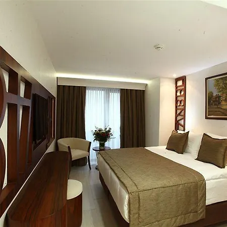 伊斯坦布尔胜利酒店及水疗中心 伊斯坦布尔