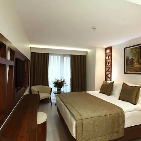 酒店 伊斯坦布尔胜利酒店及水疗中心