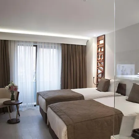 伊斯坦布尔胜利酒店及水疗中心 4*