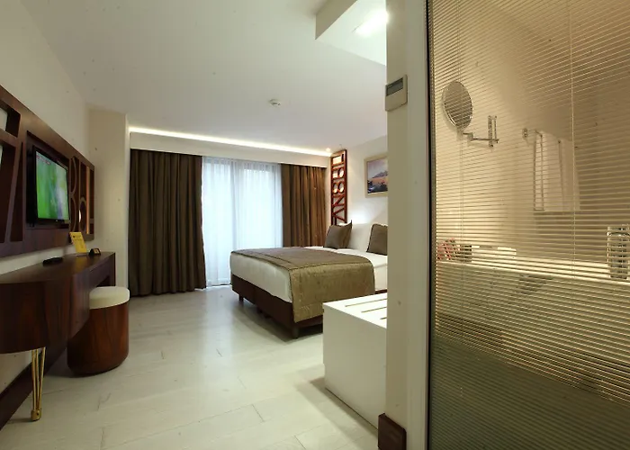 Victory & Отель Стамбул